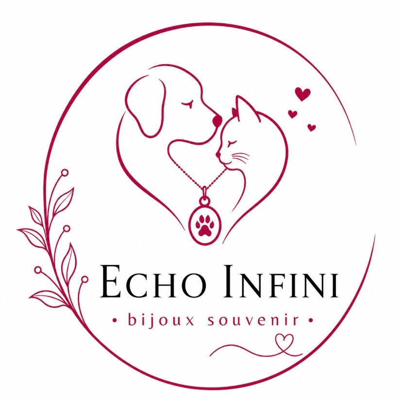 ECHO INFINI 